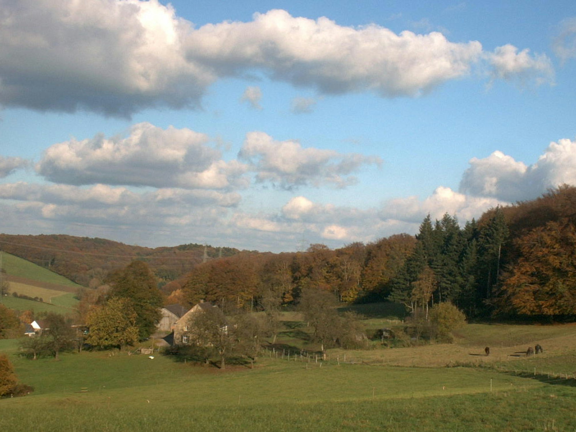 Elfringhauser_Schweiz_cc30Simplicius