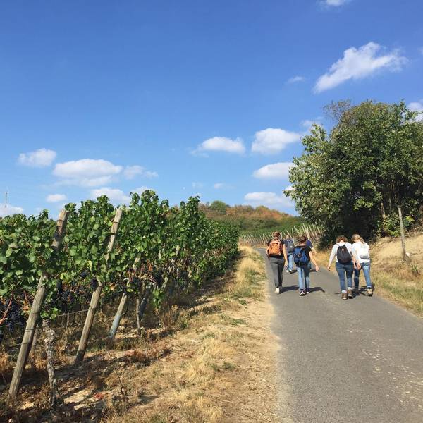 Ahr 4 wandern Reiche