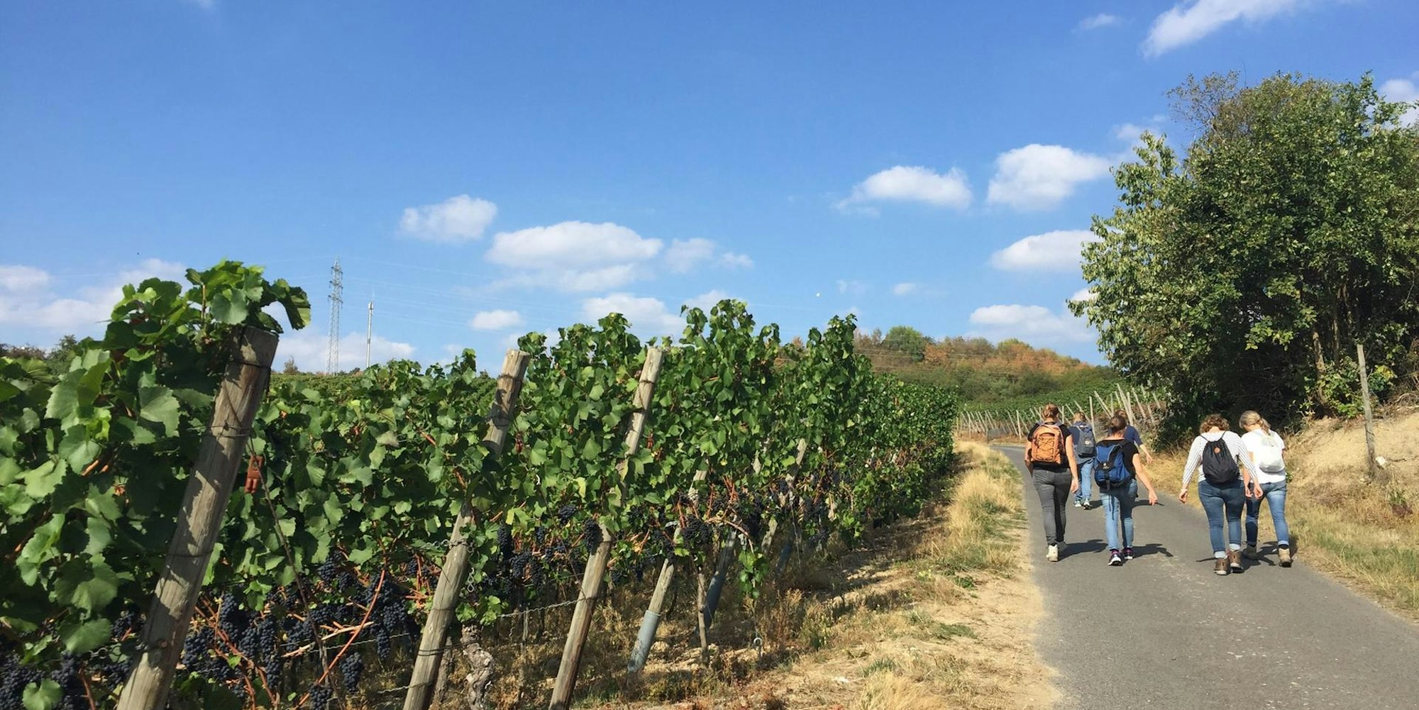 Ahr 4 wandern Reiche