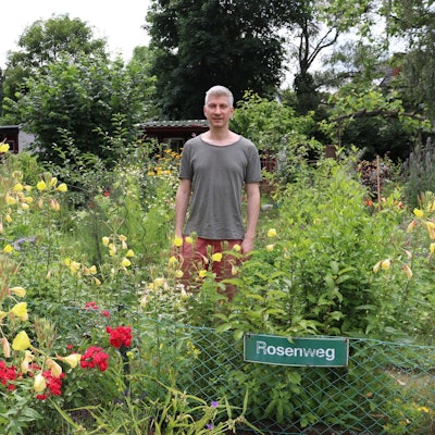 aef-schrebergarten-3