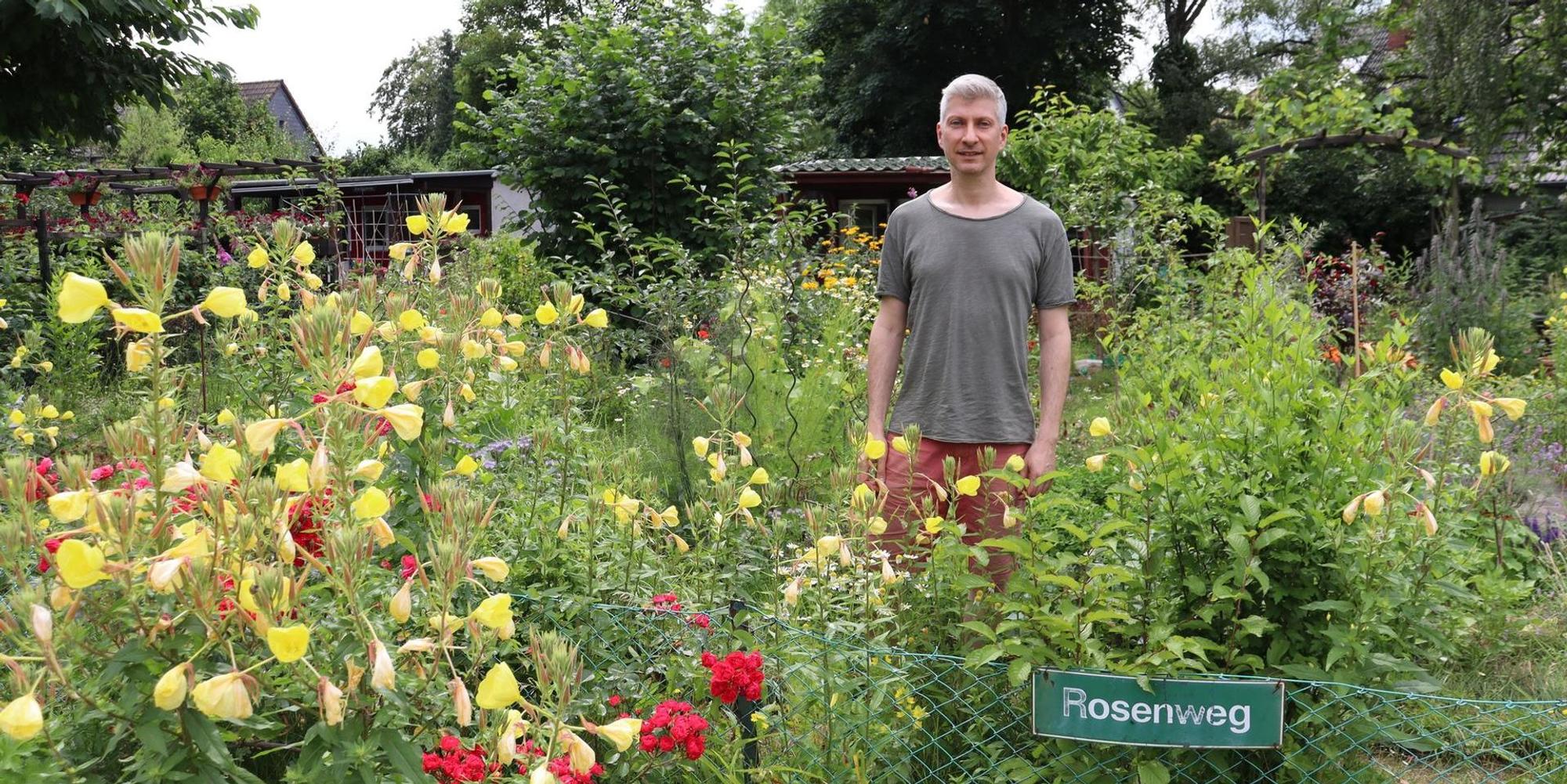 aef-schrebergarten-3