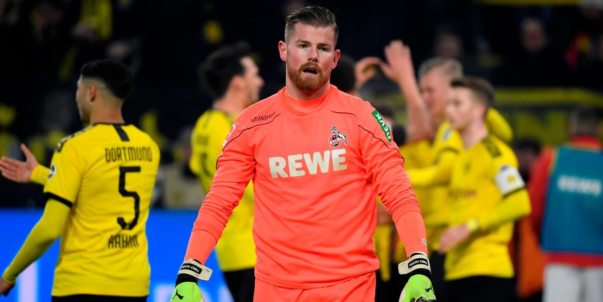 Horn_BVB