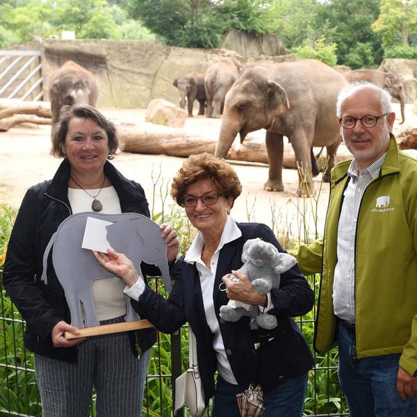 Anne_Henk-Hollstein_Zoo