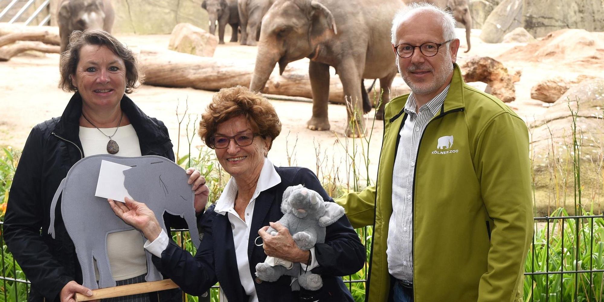 Anne_Henk-Hollstein_Zoo