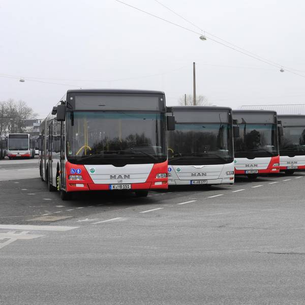 Busse Depot Krasniqi