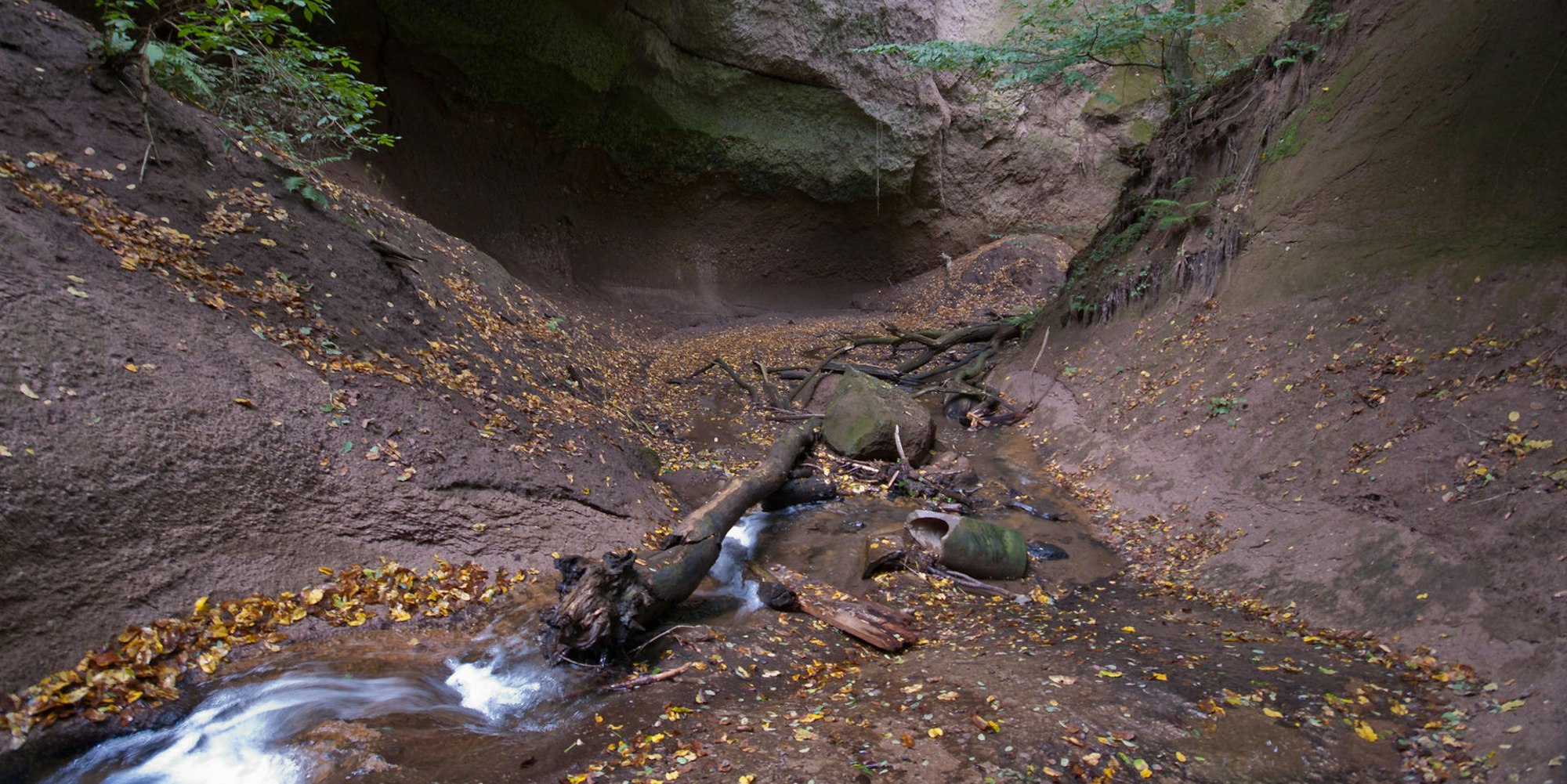 Wolfsschlucht_Tönissteiner_Bach_WQiki3.0 Alupus4