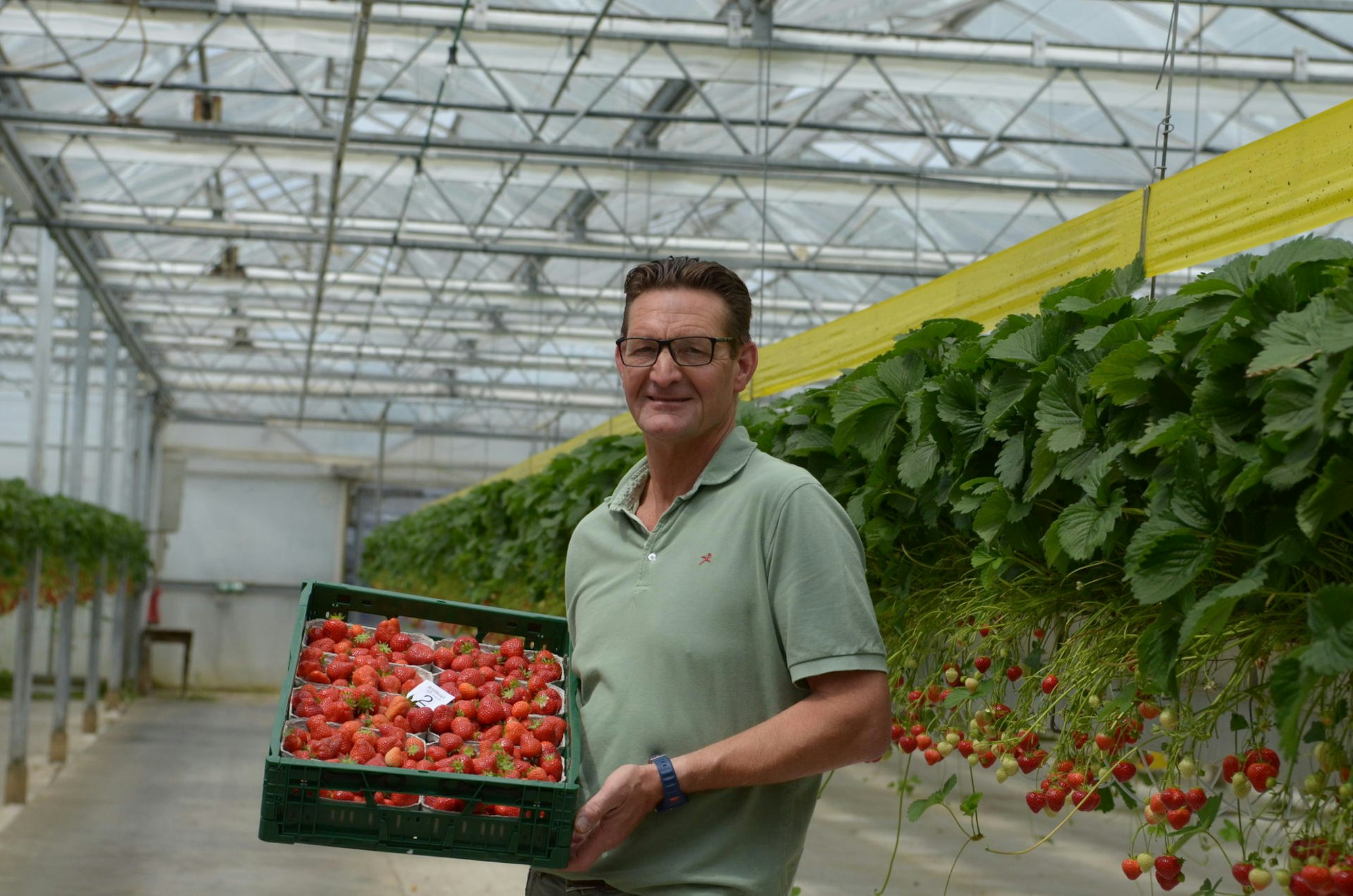 Erdbeerhof Heiner Rothkopf