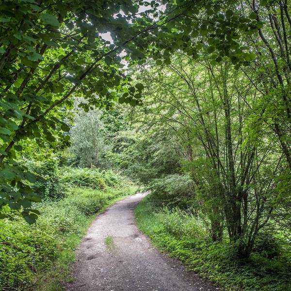 parkplaetze-morsbroich-hinterer-schlosspark-leverkusen_2