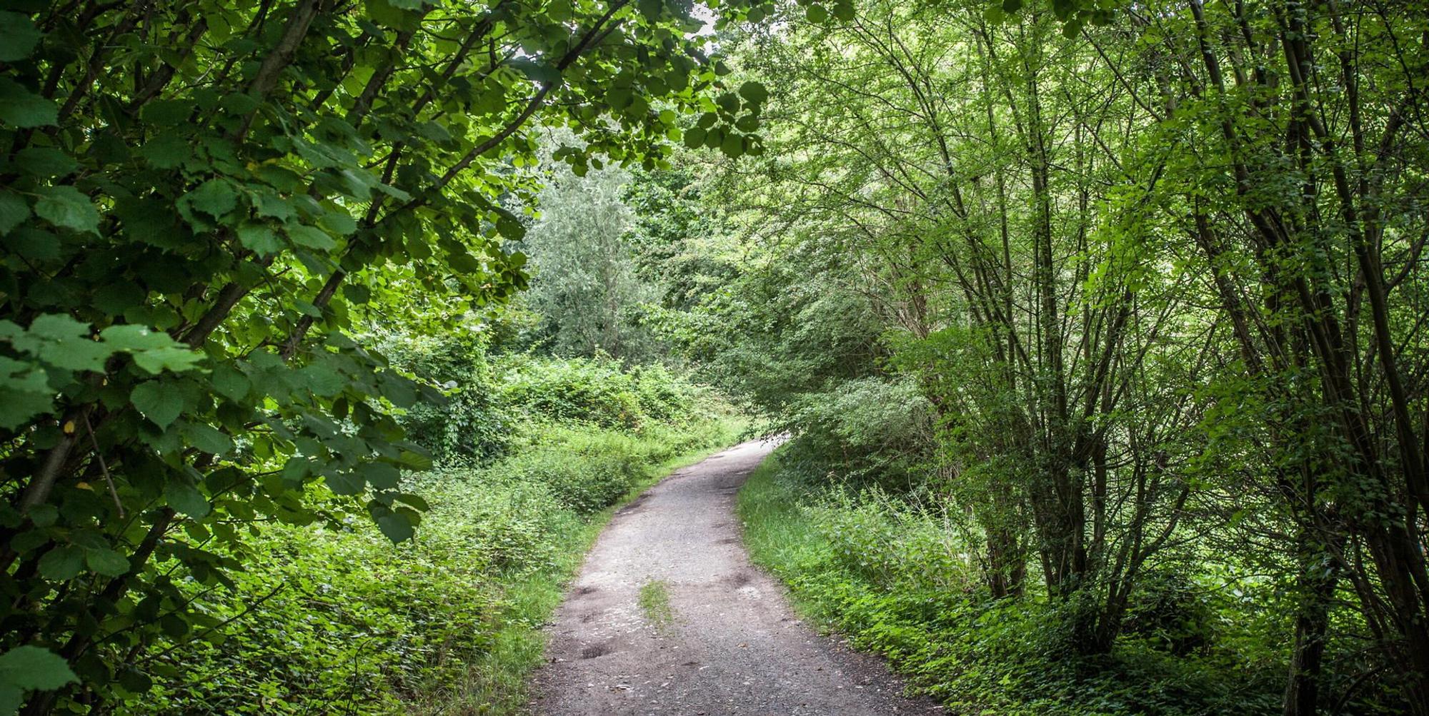 parkplaetze-morsbroich-hinterer-schlosspark-leverkusen_2
