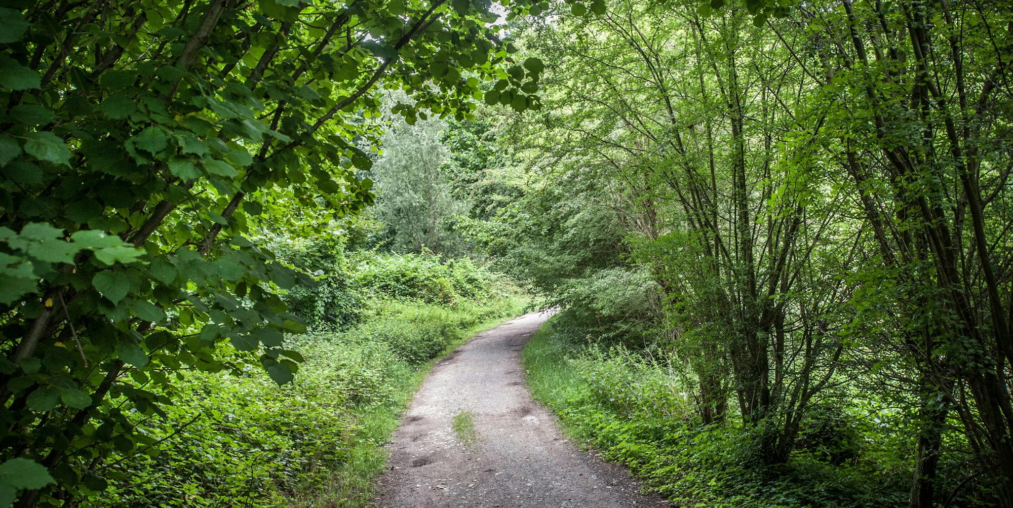 parkplaetze-morsbroich-hinterer-schlosspark-leverkusen_2