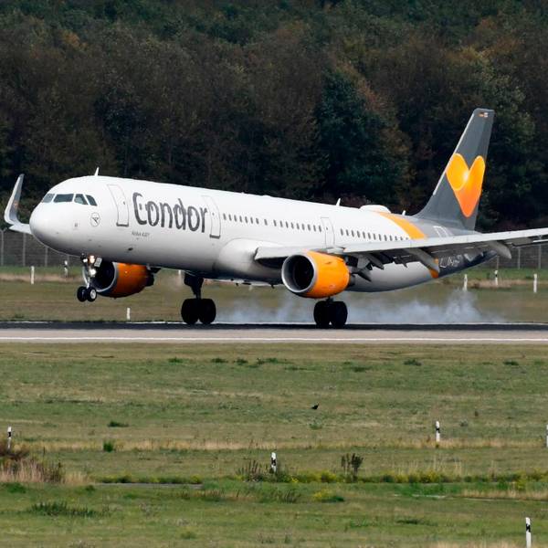 Condor afp neu