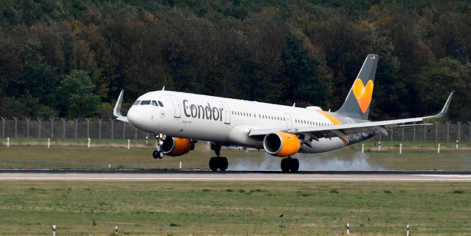 Condor afp neu