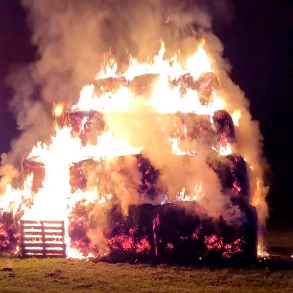 Feuer Frechen