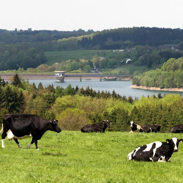 Wagner Landschaft RB