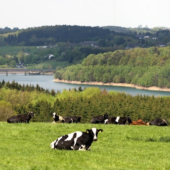 Wagner Landschaft RB