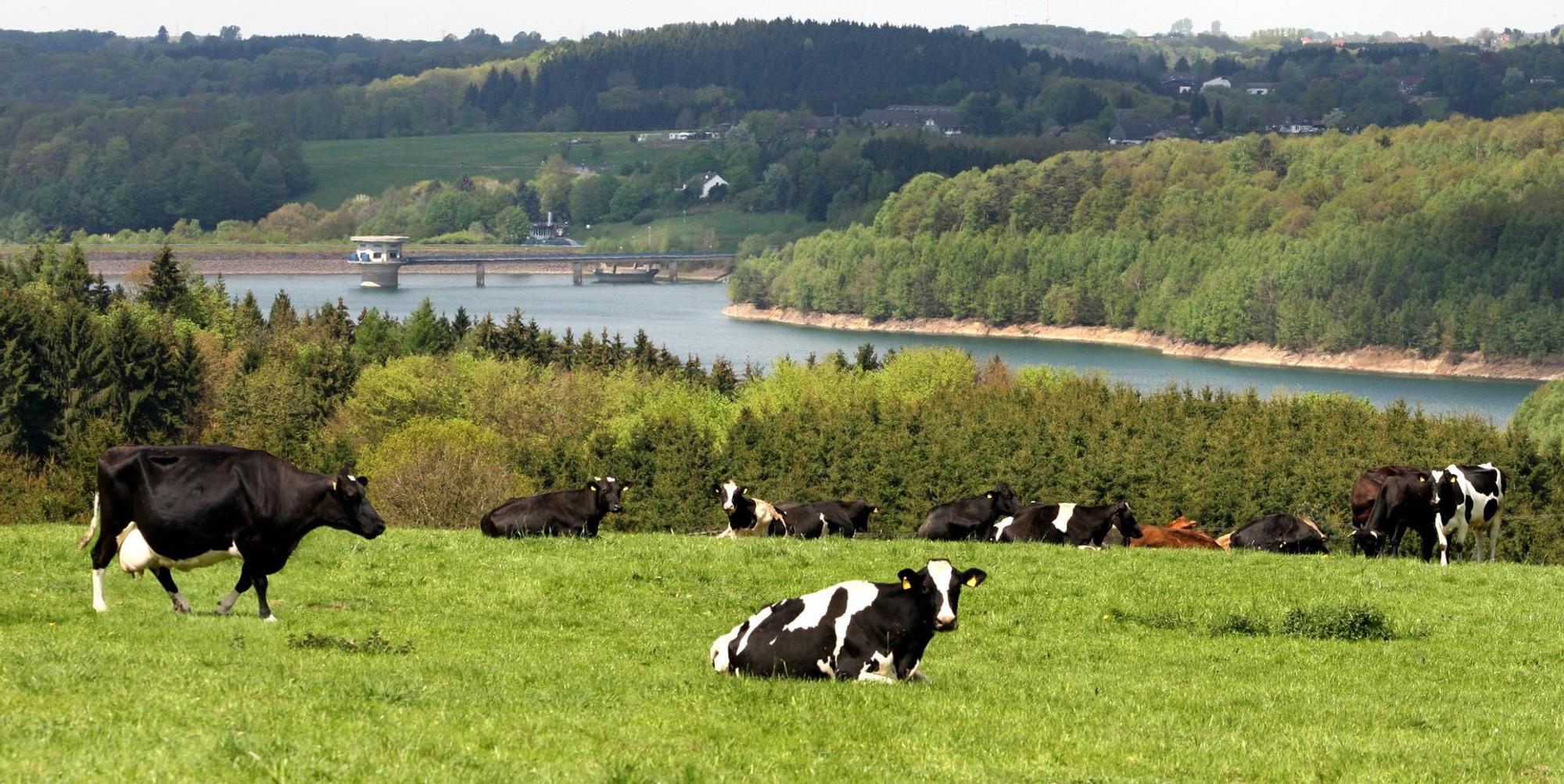 Wagner Landschaft RB