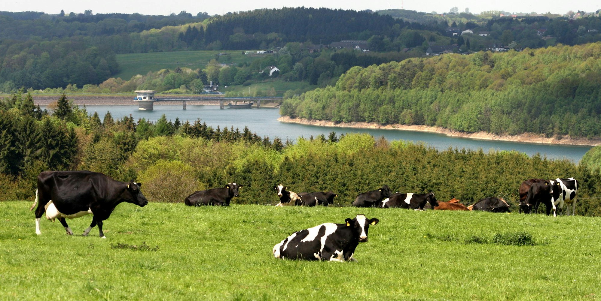 Wagner Landschaft RB