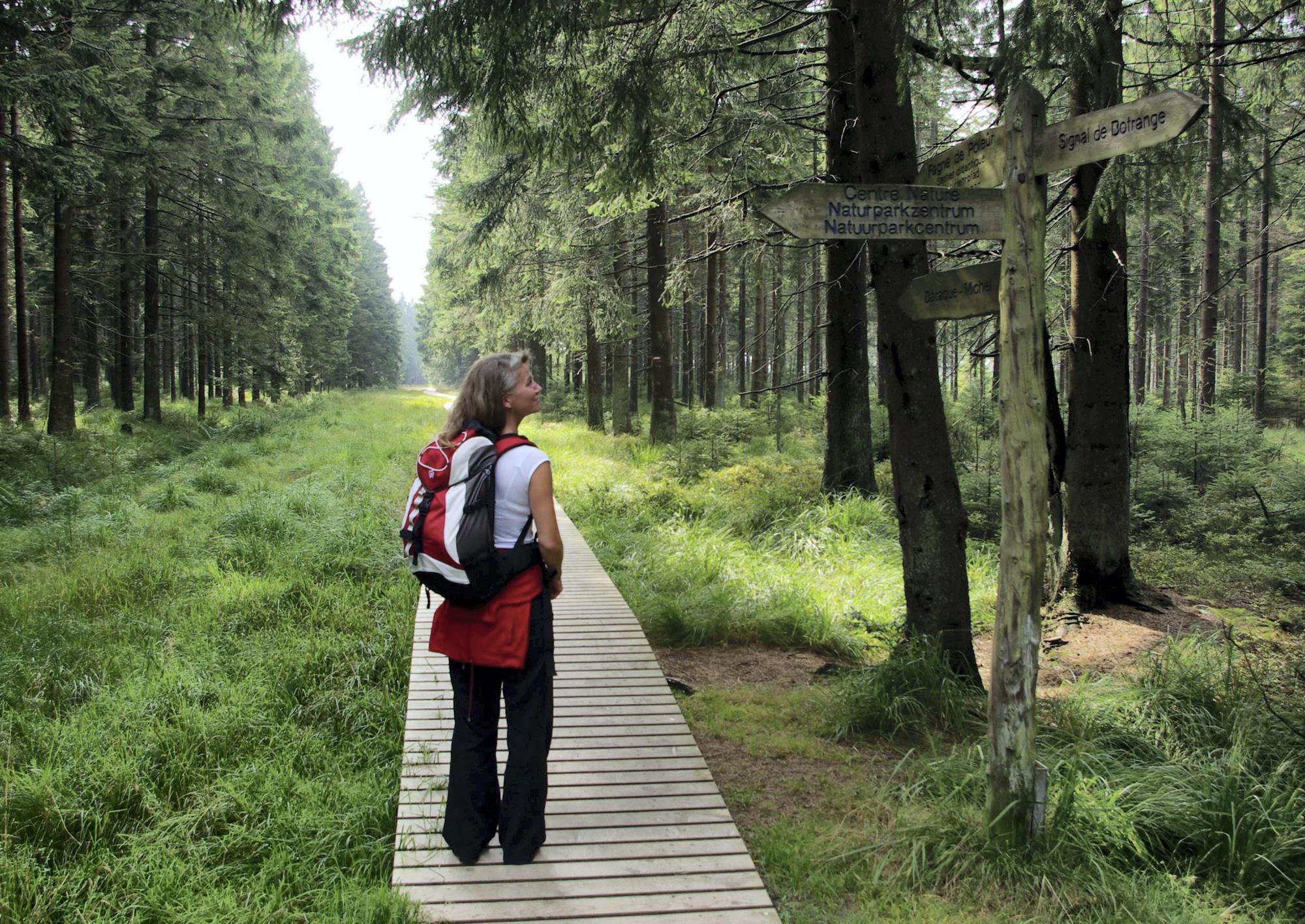Wandern in der Eifel