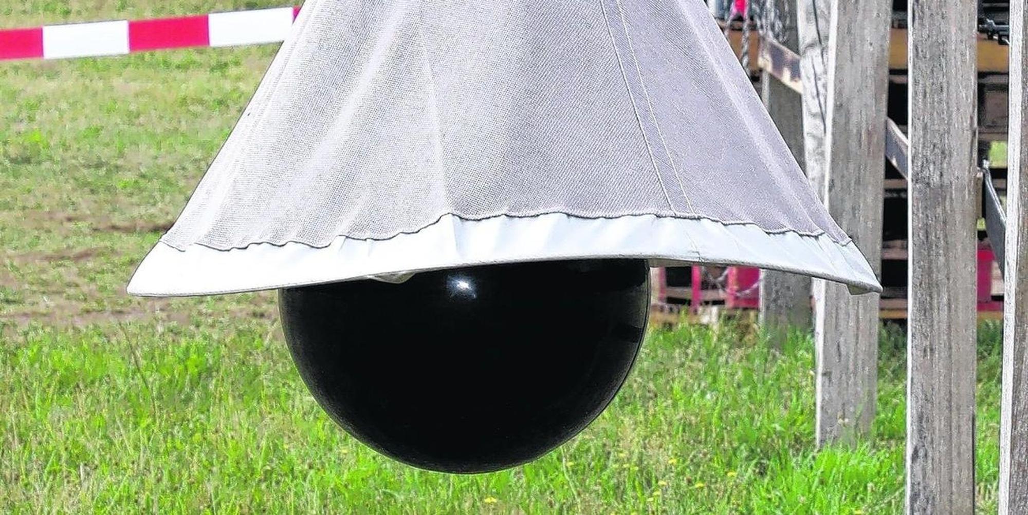 Insektenschutz Rhein-Berg