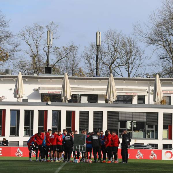 Geißbockheim-FC-Training