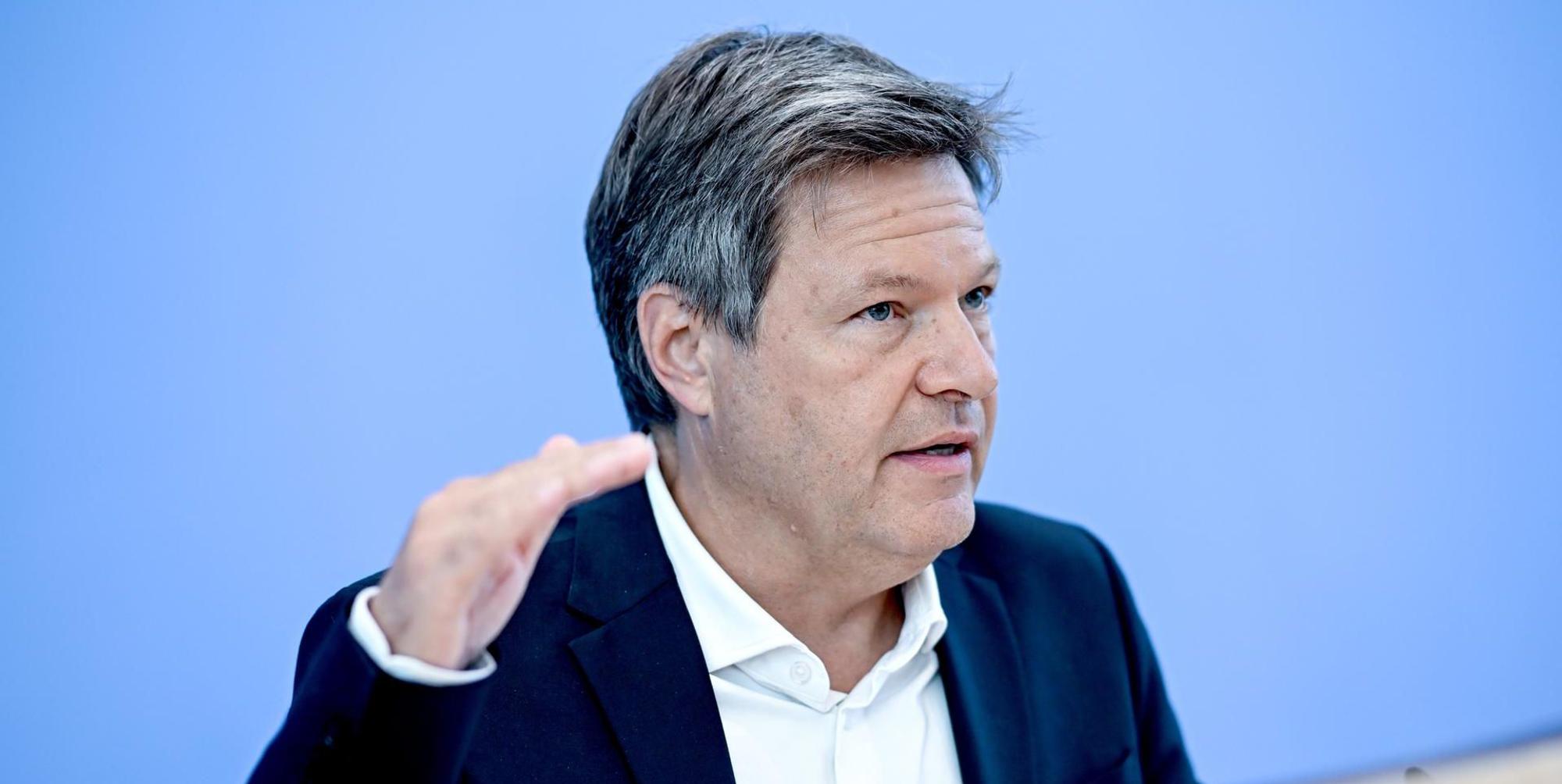 Robert Habeck Grüne 170622
