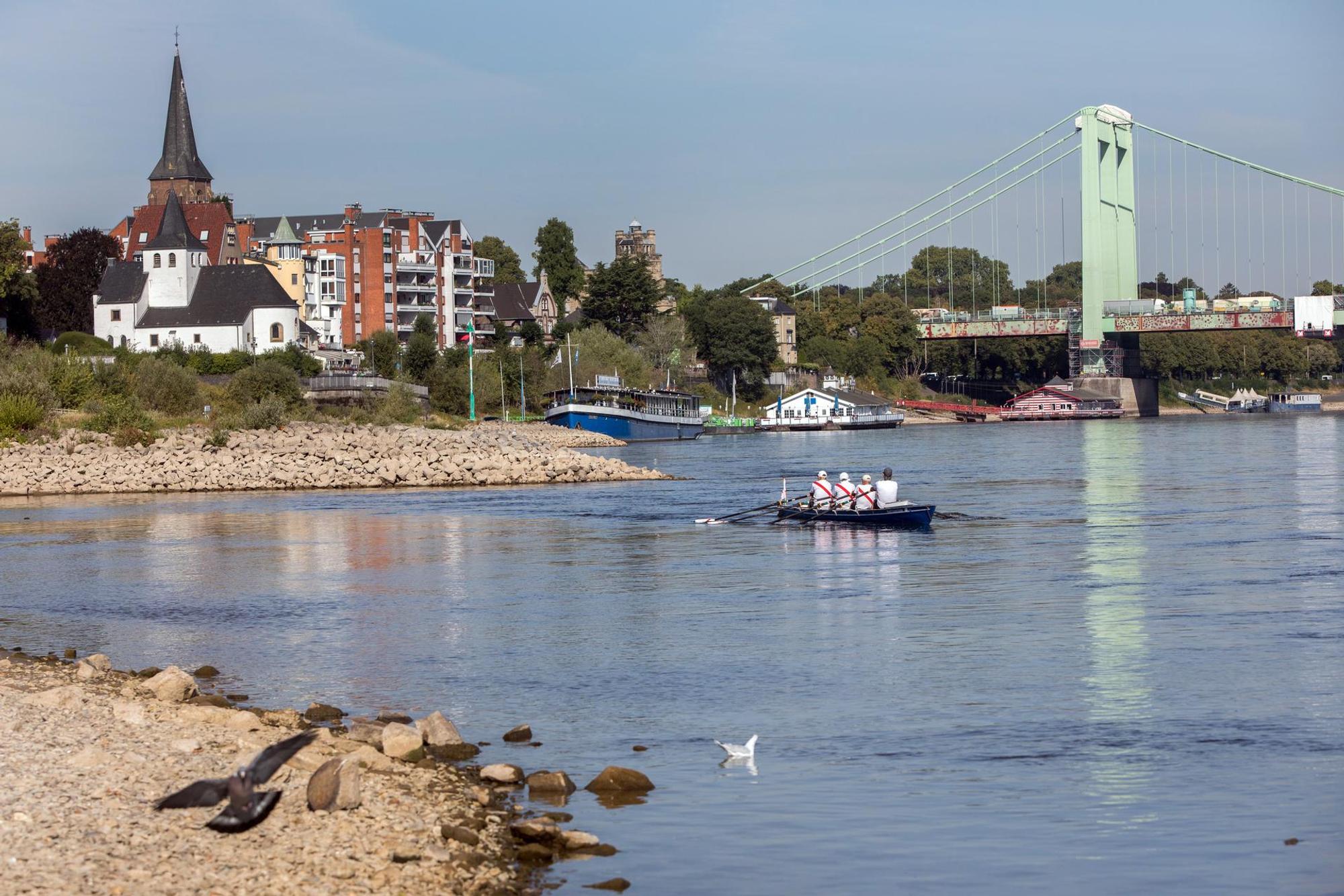 Rheinpegel 1