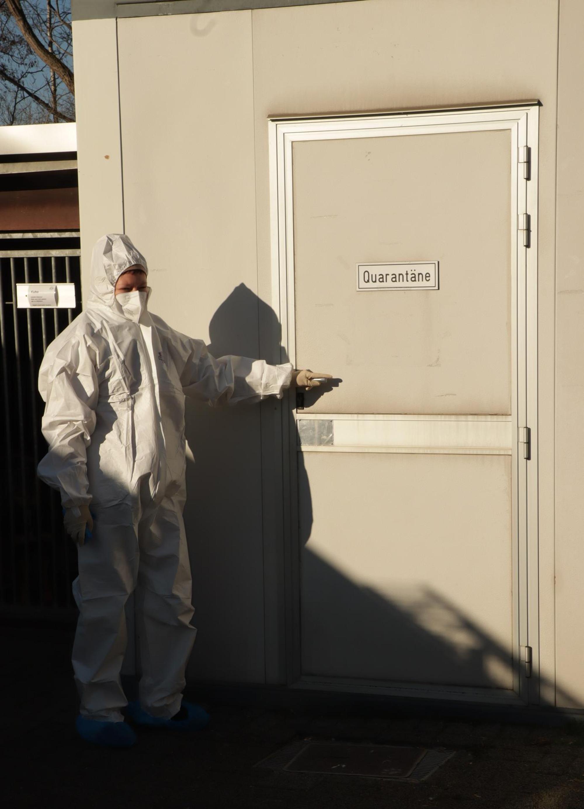 Tierheim Hürth Quarantäne