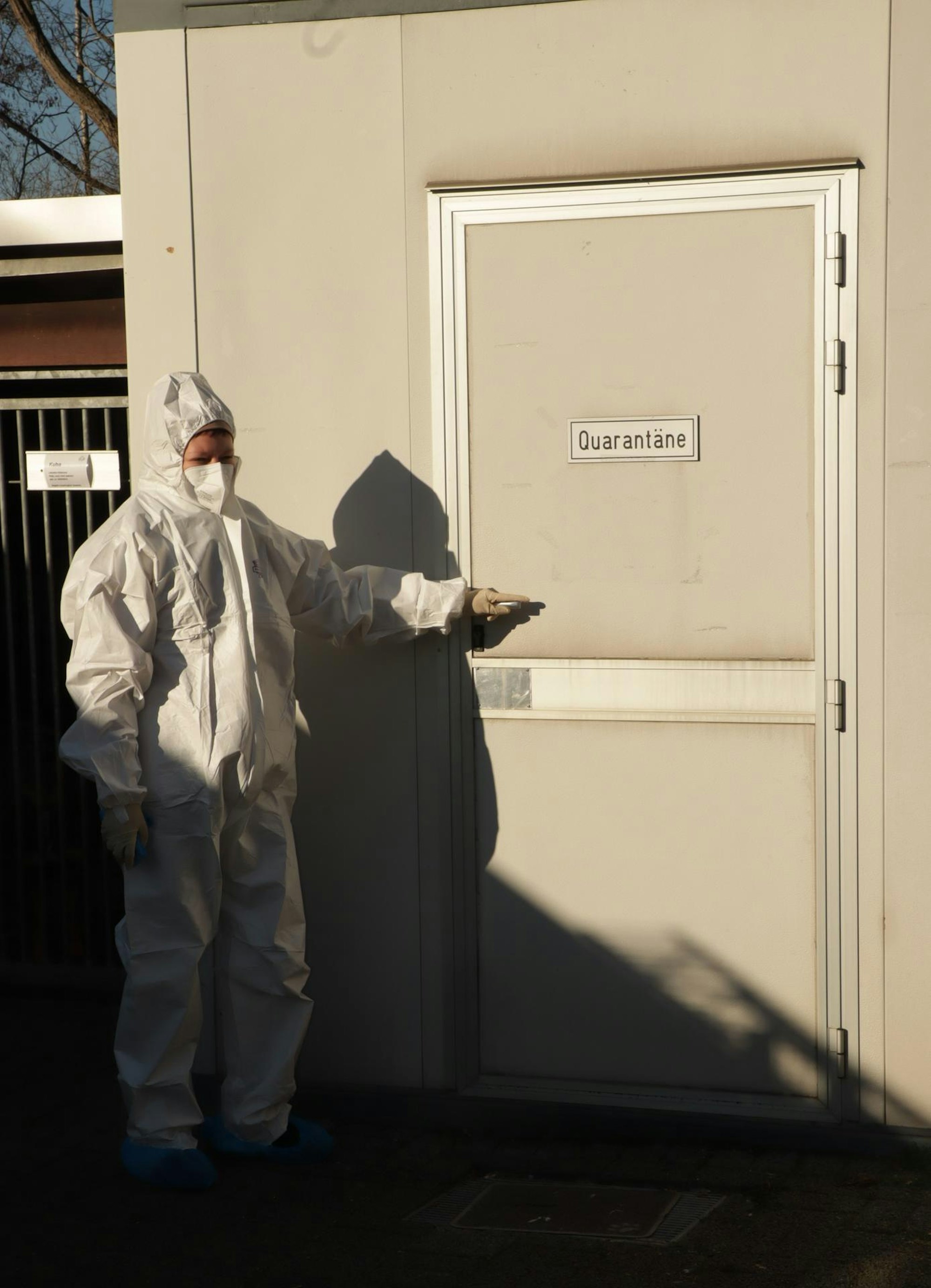 Tierheim Hürth Quarantäne