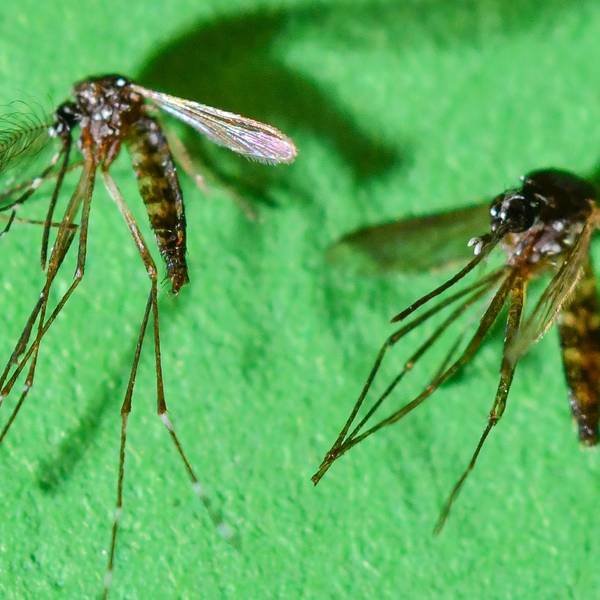 Neuer Inhalt