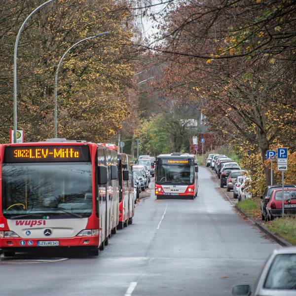wupsi-leverkusen_ALF_2870