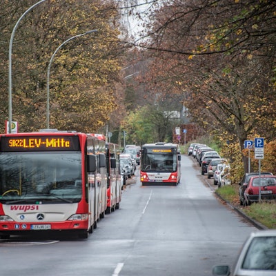 Zwei rot-weiße Busse der Wupsi stehen an einer Haltestelle, ein dritter ist in der Ferne zu sehen.