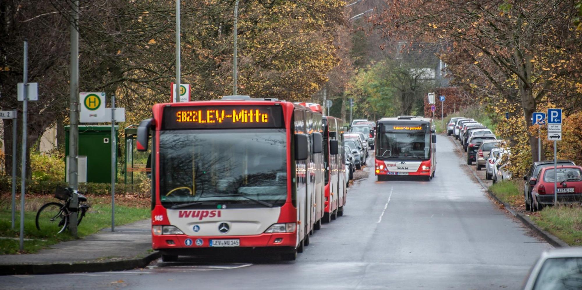 wupsi-leverkusen_ALF_2870