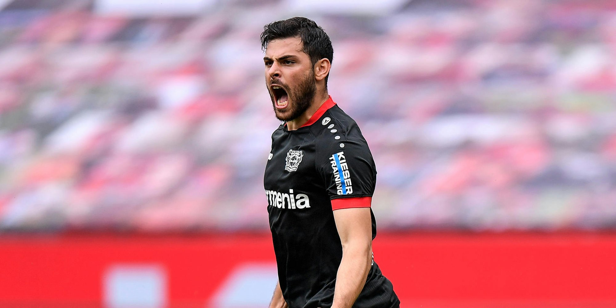 Volland Bayer