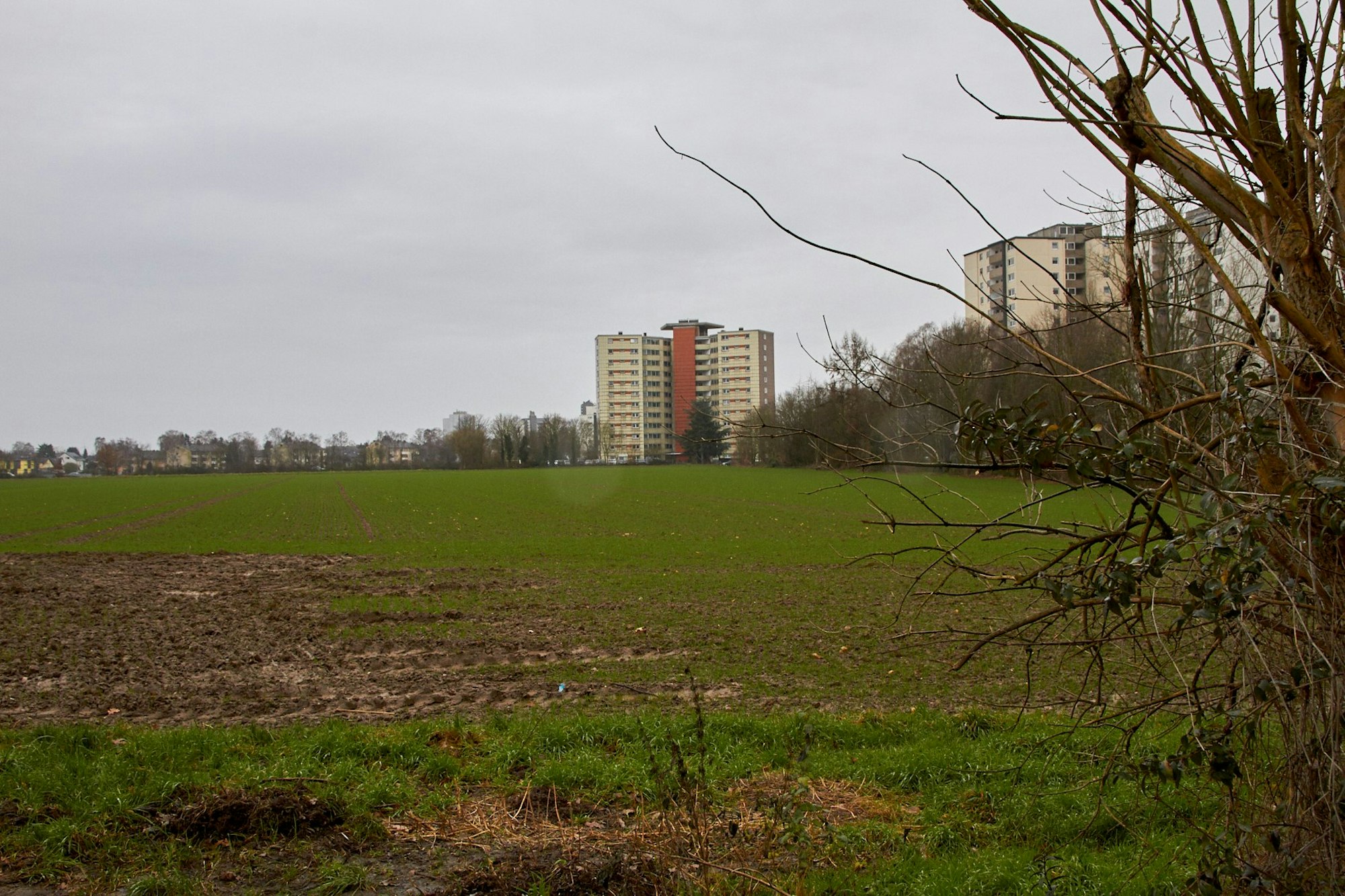 Regonalplan-Widerstand2