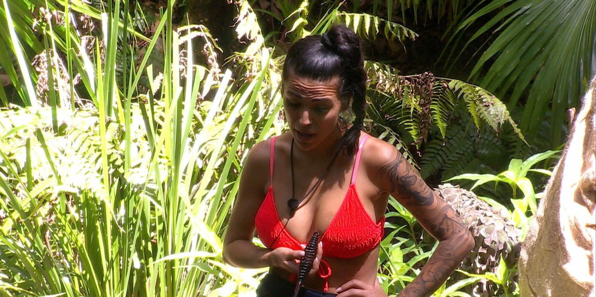 IBES 13 Elena