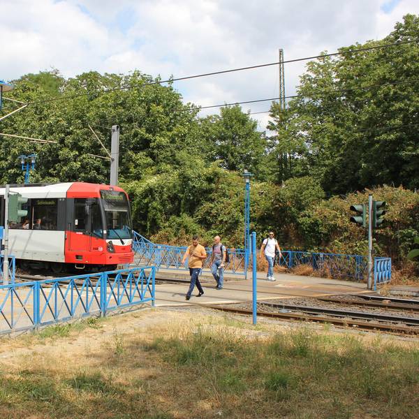 Neuer Inhalt