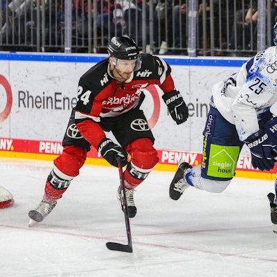 Haie Zach Sill