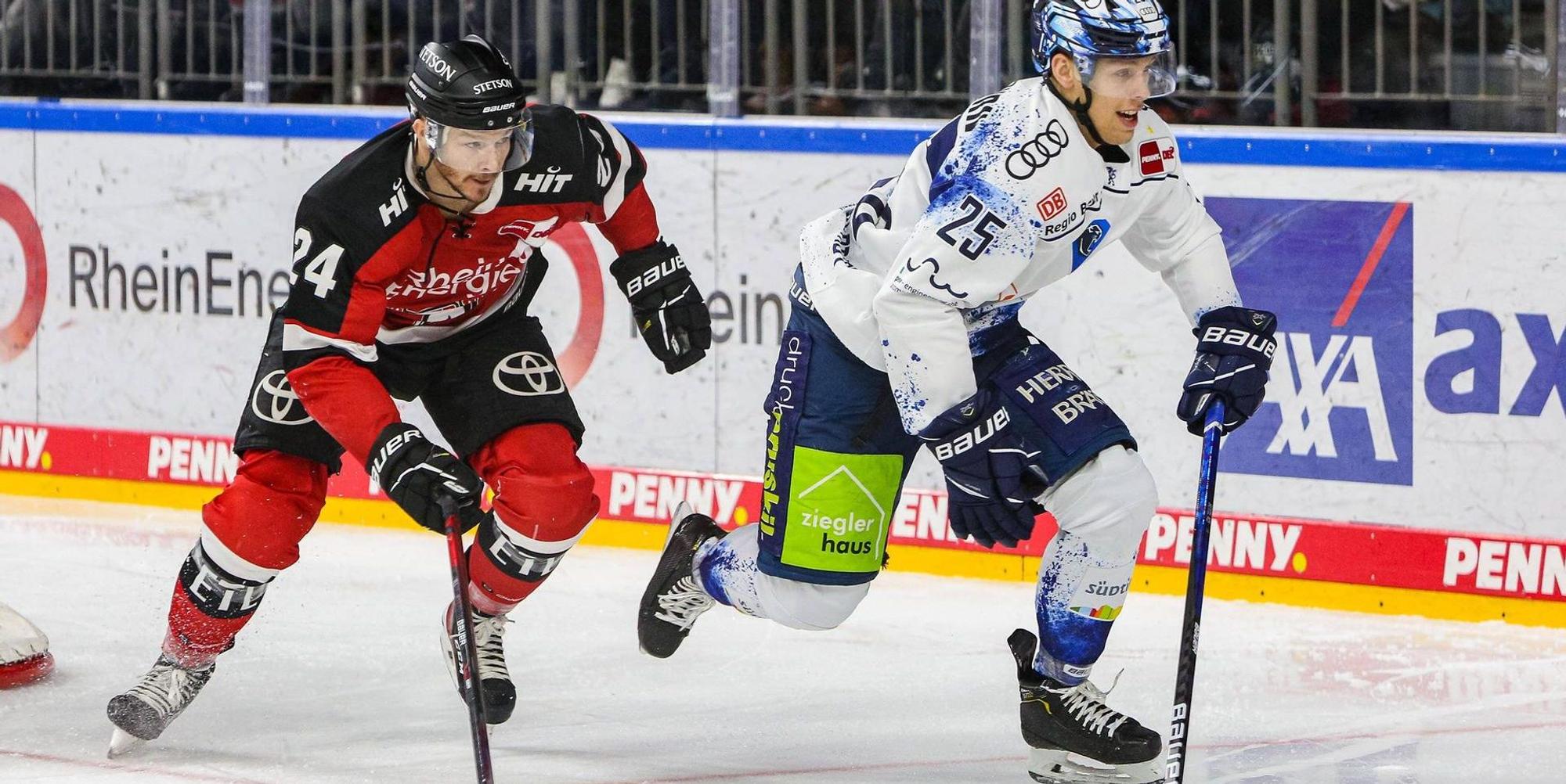Haie Zach Sill