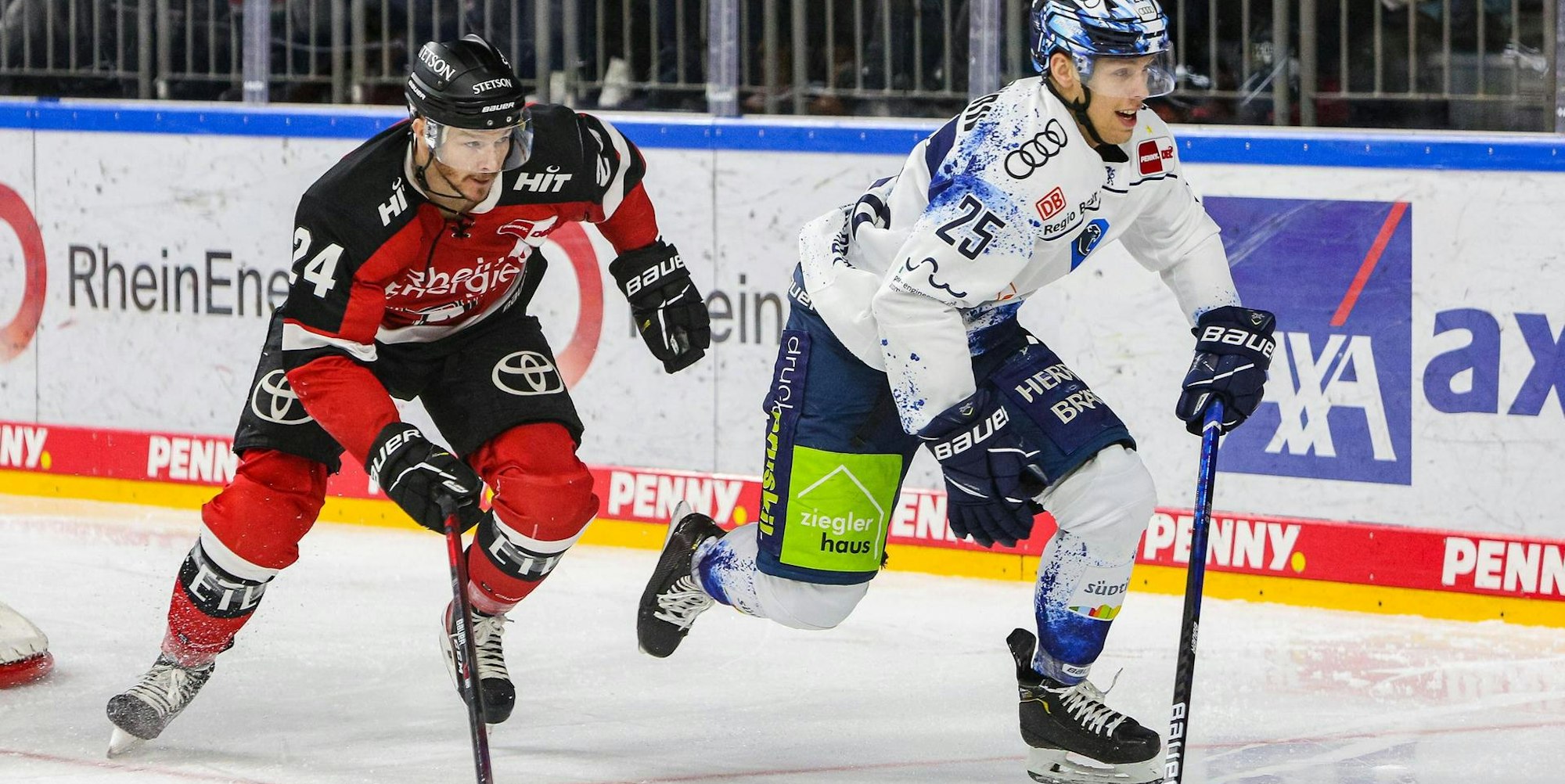 Haie Zach Sill