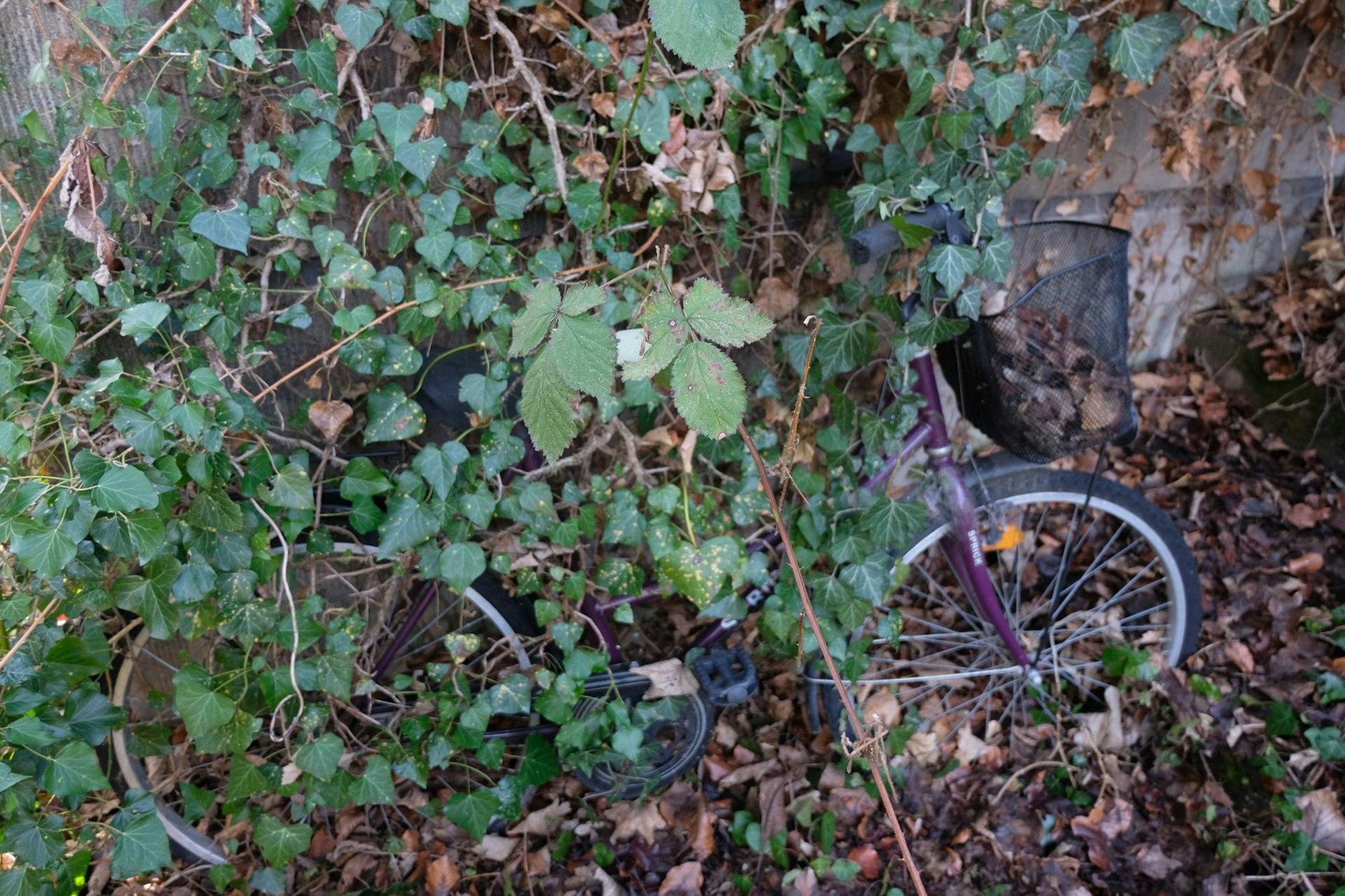 tier0_2019_02_21_MDS-KSTA-2019-02-21-71-144109698