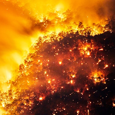 GettyImages_Buschfeuer