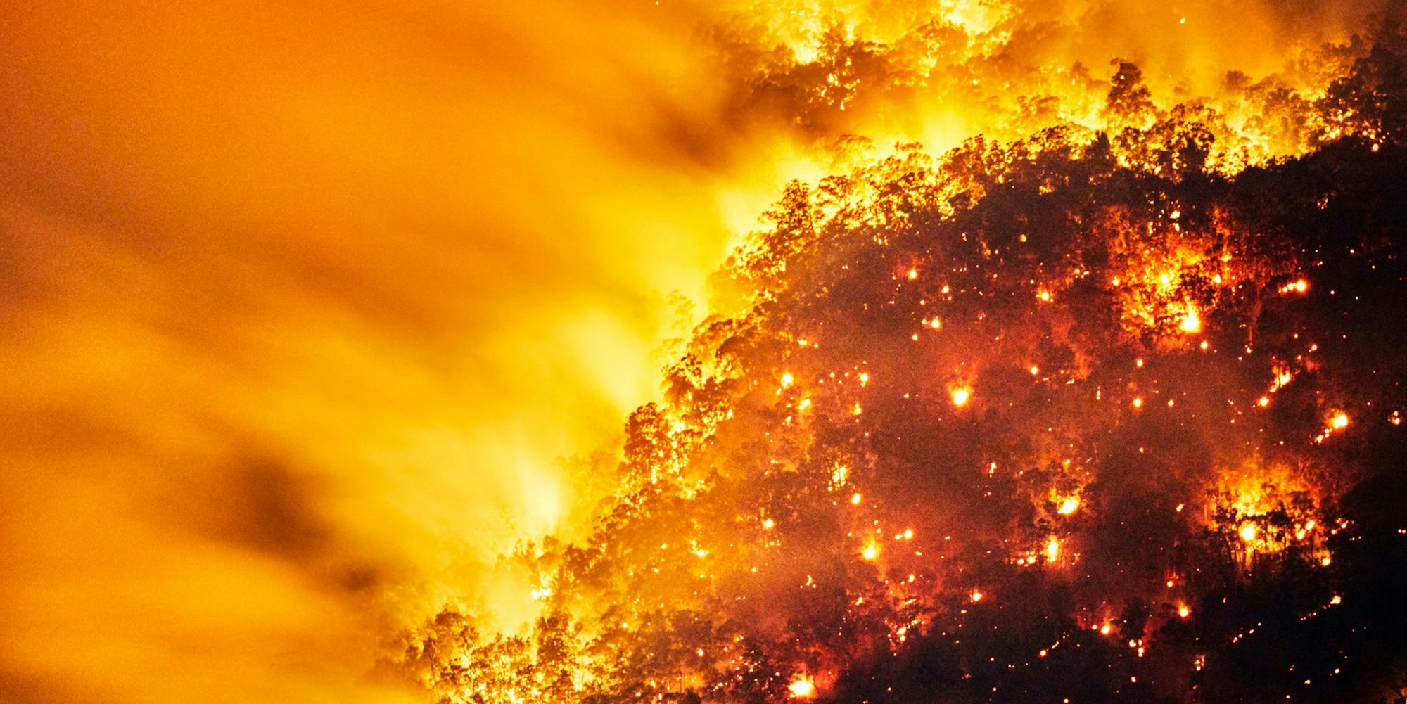 GettyImages_Buschfeuer