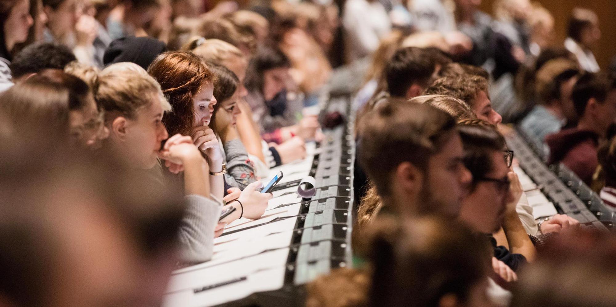 Studium in der Massenuniversität