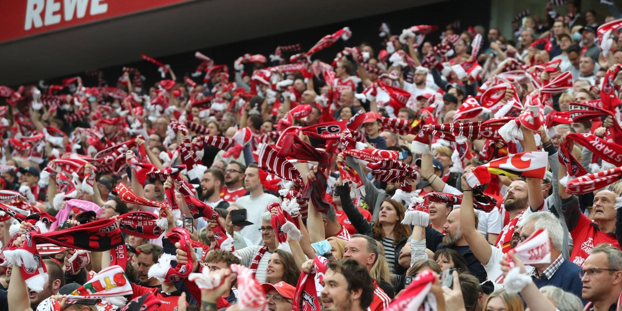 Fans_Bochum