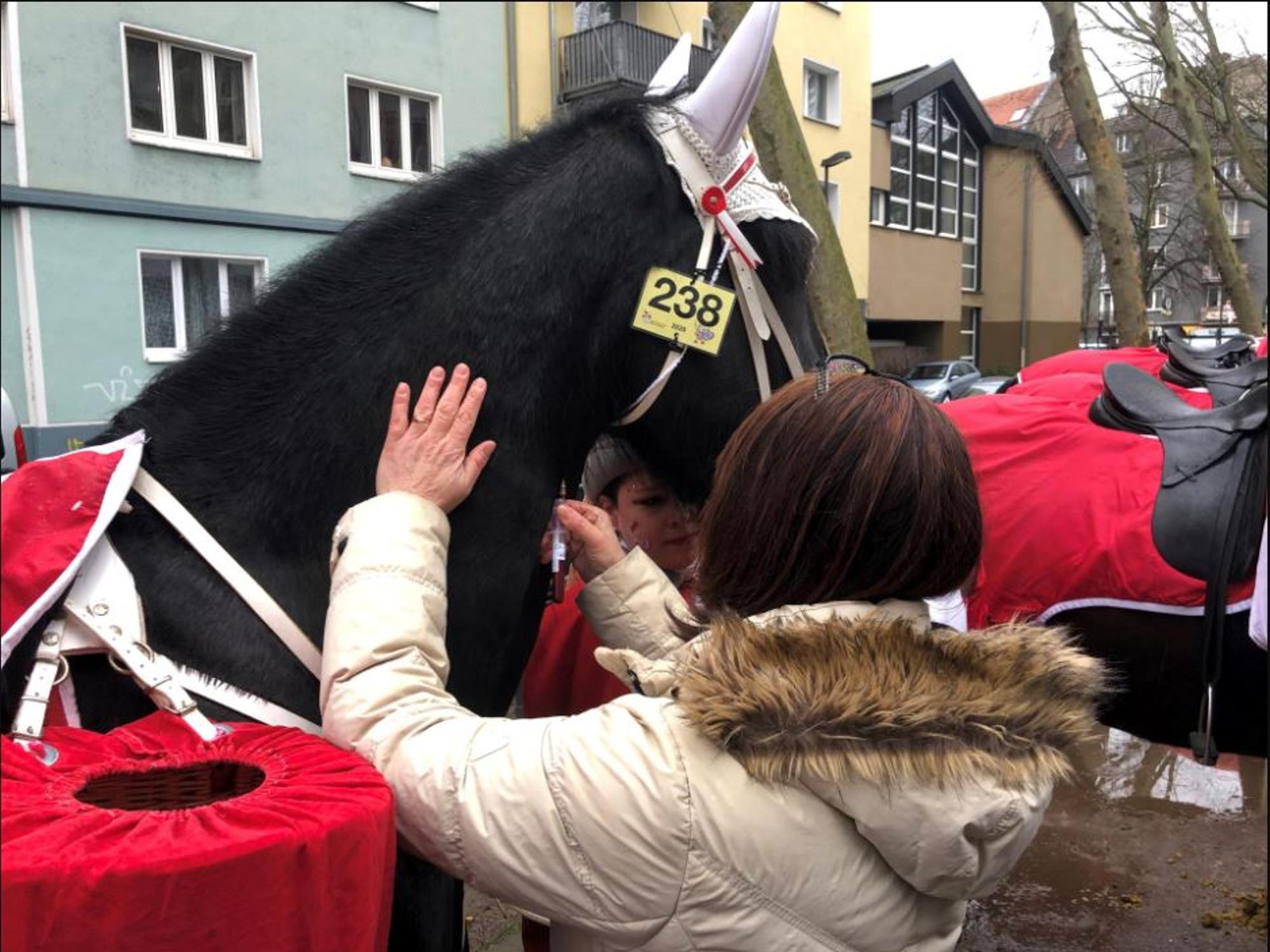 pferdekontrollen-rosenmontagszug002