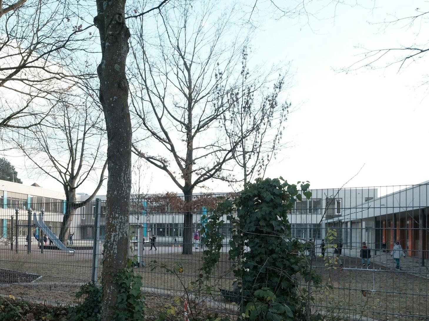 Langohr1