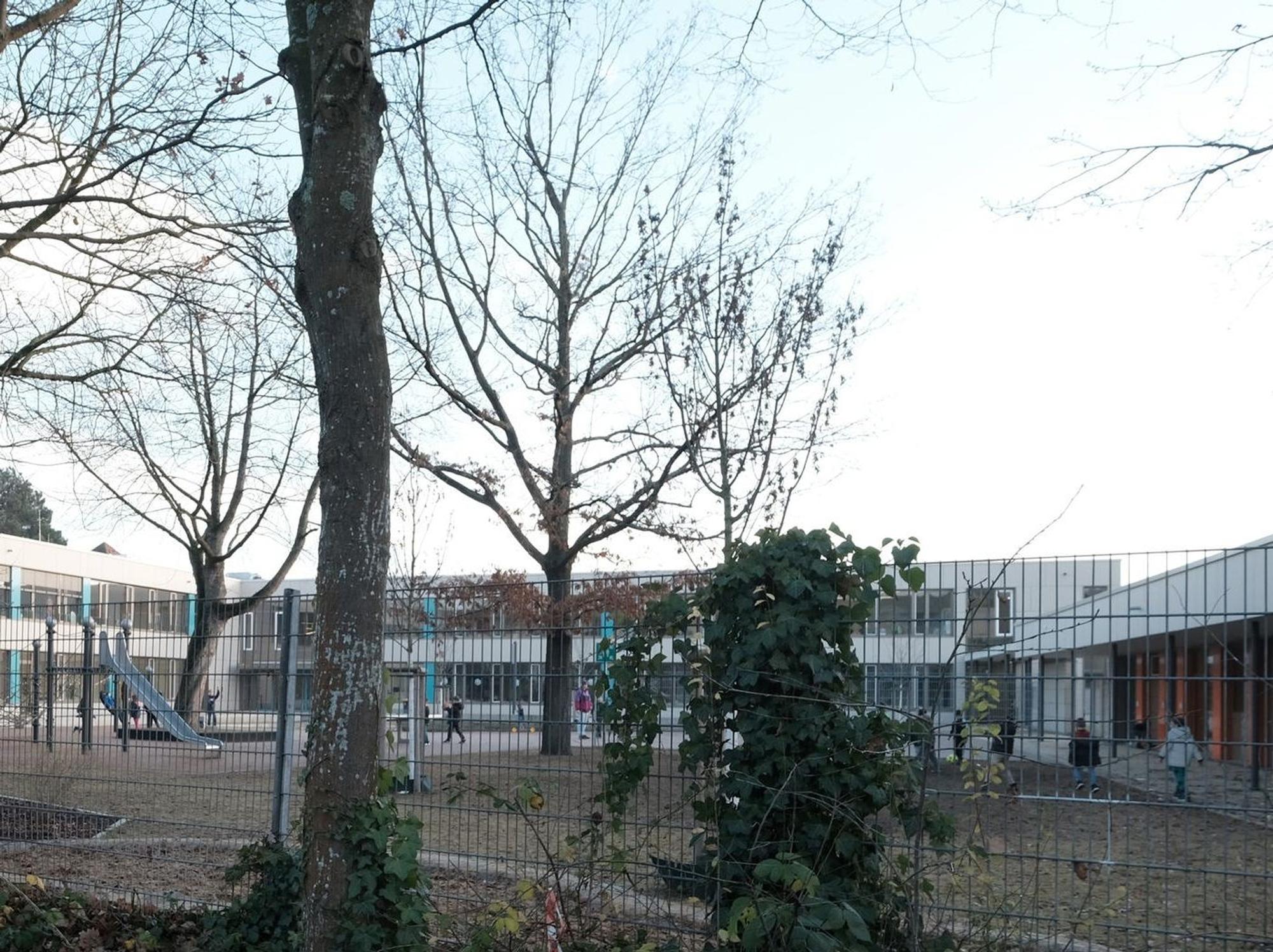 Langohr1