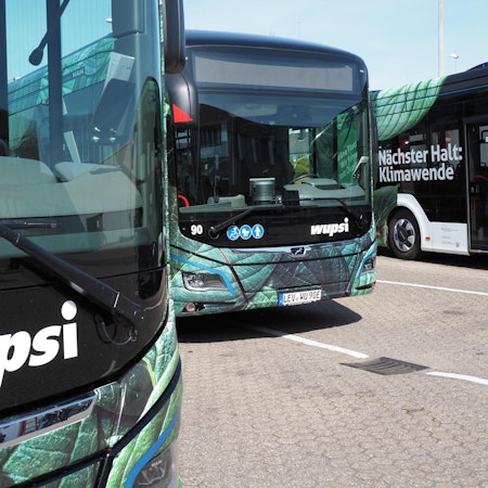 20220411-MAX-wupsi-02