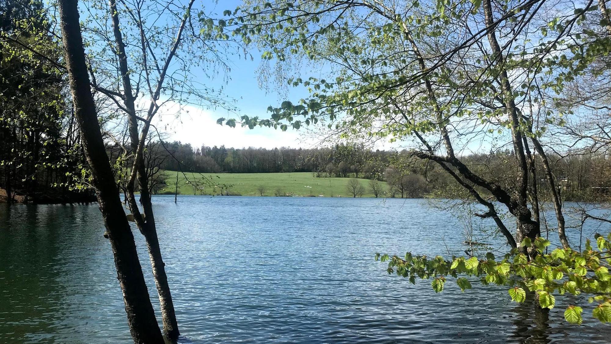 Blick aufs Wasser an der Bevertalsperre