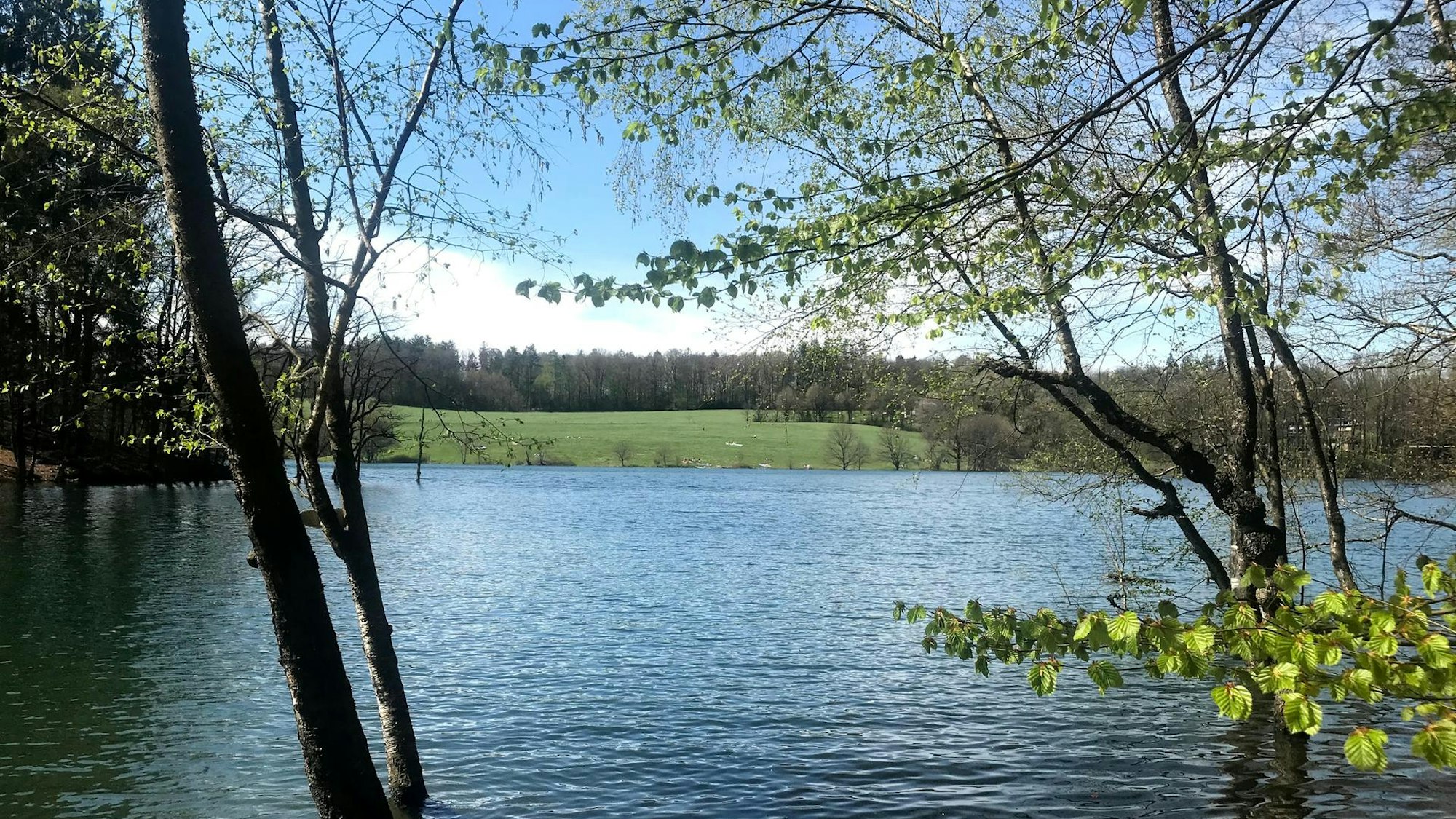 Blick aufs Wasser an der Bevertalsperre